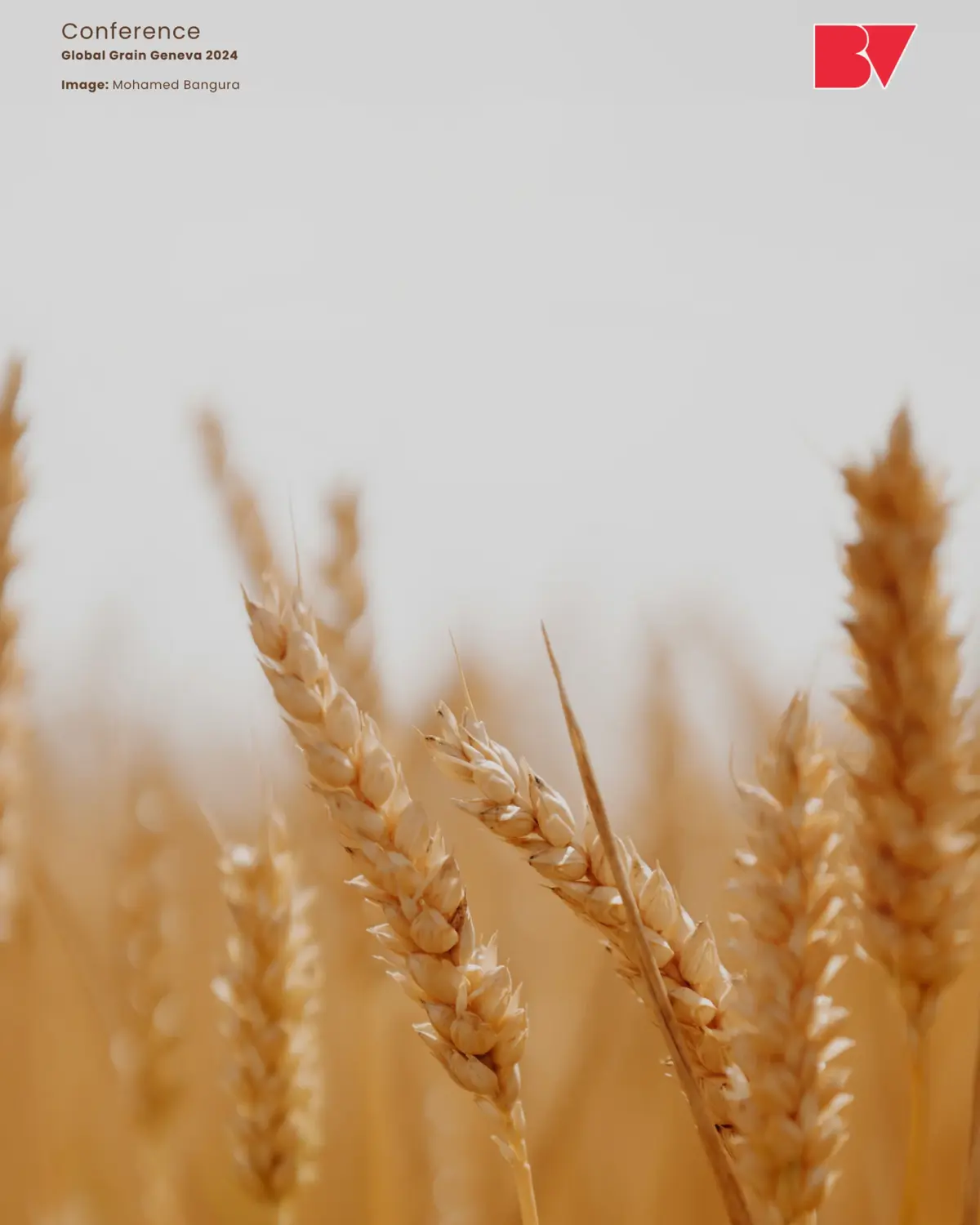 Burmester & Vogel Leads the AI Revolution in Grain Trading at Global Grain Geneva 2024